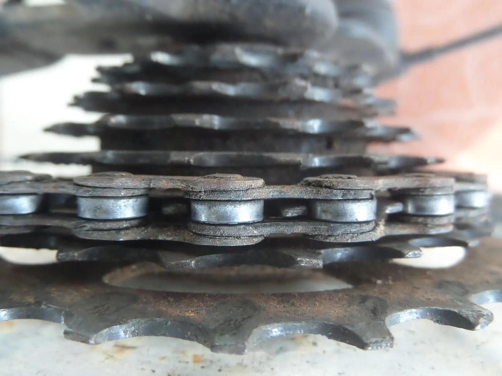 Close-up of a seven-speed bicycle gear cluster